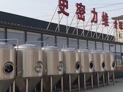 荆门精酿啤酒设备厂—如何判断精酿啤酒设备的密封件需要更换？
